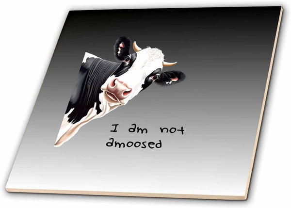 3dRose I am Not Amoosed Cartoon Vector of Dairy Cow and Fun
