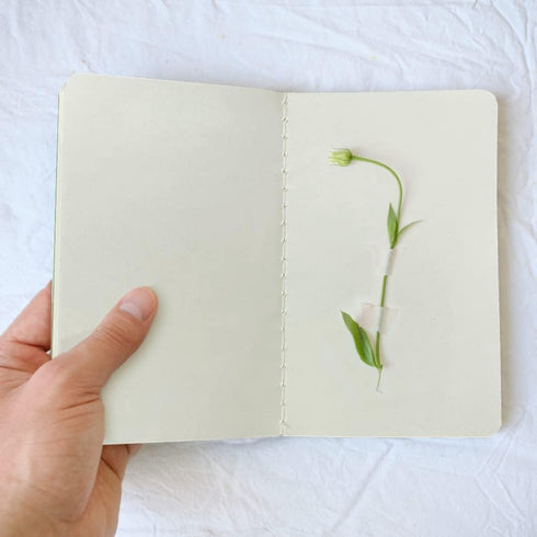 Gwybkq Small Unlined Pocket Notebooks, 12 Pack Mini Notepads, 3.5 x 5.5 Inches, 30 Sheets/60 Pages for Kids.