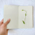 Gwybkq Small Unlined Pocket Notebooks, 12 Pack Mini Notepads, 3.5 x 5.5 Inches, 30 Sheets/60 Pages for Kids.