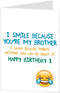 LimaLima Funny Brother Birthday Cards for Big Older 40th 50th 60th 70th, Blank Inside