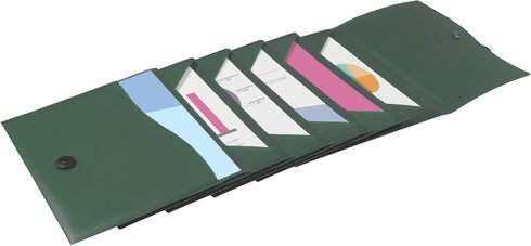 Avery Slide & View Expanding File Folder, 6 Pockets, Letter Size, 1 Sage Folder (73546)