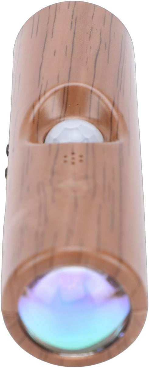 Bewinner Motion Sensor Wall Sconce | Double Head LED Night Light with