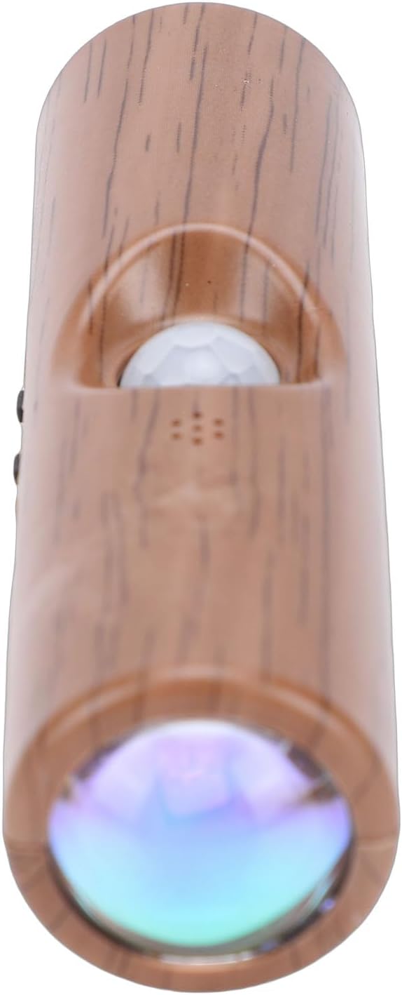 Bewinner Motion Sensor Wall Sconce | Double Head LED Night Light with
