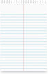 Steno Pads Notebooks, Top Bound Spiral Steno Book -Stenos Note Pads Gregg Ruled, White, 80 Sheets Per Steno Notepad - 6 x 9 Inch - Great for Note-taking and Making To-do Lists - 6 Pack by Manaloom