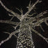 25ft 50 6" IP55, Dimmable, Novelty Lights LED Pure White Christmas Lights Outdoor/Indoor, Spacing, Green Wire String