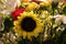 Lac et Soleil Flower Postcard Photo by MIRO Sunflowers and Flowers (Bouquets) Postcards