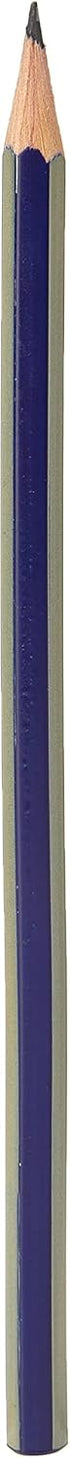 Faber-Castell Goldfaber 1221 Graphite Pencil, 2H for Art, Craft, Drawing, Sketching, Home, School