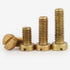 Foyoram 20pcs M4x16mm Srass Slotted Cheese Head Screw, Nail Bolt