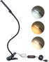 Clip on Reading Light, Clip Light with Warm & Daylight & White Light, 3 Colors, Eye-Care Clamp Lamp with 10 Modes