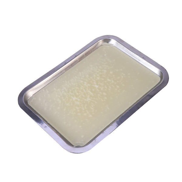 UKCOCO Stainless Steel Wax Dissection Tray - Biological Laboratory Equipment for Junior Senior School (18x25cm)
