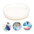 40 Gatuida Pcs Nutrient Agar Plate Tool Kit Petri Dish with Lid Agar Agar Powder Science Fair Projects Tool Potato Agar