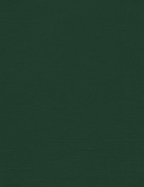 LUXPaper 8.5" x 11" Cardstock | Letter Size | Green Linen | 100lb. Cover | 50 Qty