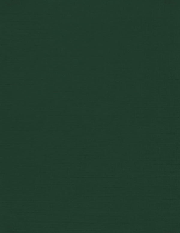 LUXPaper 8.5" x 11" Cardstock | Letter Size | Green Linen | 100lb. Cover | 50 Qty
