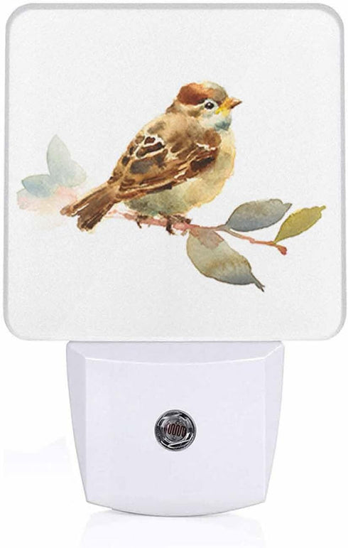 Chrobak LED Night Light Plug into Wall with Dusk to Dawn Light Sensor