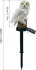 Generic 1 Owl Outdoor Garden Light, Owl Solar Garden Stake Light, Piece Solar Garden Light, Waterproof Warm White LED