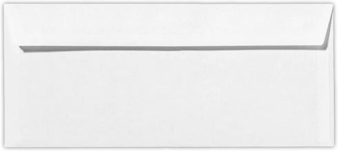LUXPaper #10 Business Double Window Envelopes | Security Tint | 4 1/8" x 9 1/2" | White | 24lb. Text | 50 Qty
