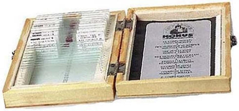 KONUS 4881 Set 10 Slides Plants Reproduction - 10 Slides