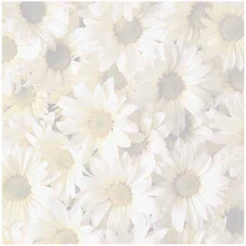 Daisies Sticky Notes - Set of 3 - Flower Design Floral Theme - Stationery Gift - Paper Memo Pad - Office Business School Supplies