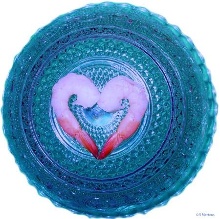 3dRose 4 Inch Shrimp on a Blue Crystal Bowl Ceramic Tile