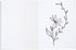 Paper Junkie 24 Pack Unlined Journals, Blank Notebooks for Kids, 4.3x5.5 In