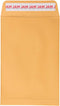 JAM PAPER 6 x 9 Open End Catalog Envelopes with Peel and Seal Closure - Brown Kraft Manila - 50/Pack