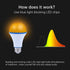 2 Pack LED Amber Light Bulbs, 7W A19, 1800K Warm Light, Blue Light Blocking, 60 Watt Equivalent for Healthy Sleep, 2