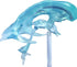 EVOTECH SCIENTIFIC Human Brain Ventricles Model for Medical Anatomy Teaching Learning, Students Learning Education