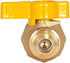Eastman Straight Gas Brass Ball Valve, 3/4 in FIP x 1/2 in OD Flare Female