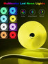 Ledagic 10ft IP65 Rgb Led Neon Rope Lights with Remote App Control, Waterproof Neon Strip Lights for Outdoor, DIY