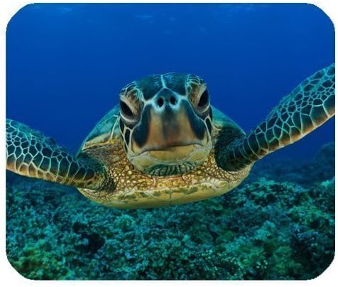Beautiful Smooffly Sea Turtle Customized Rectangle Non-Slip Rubber Mousepad, Gaming Mouse Pad