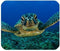 Beautiful Smooffly Sea Turtle Customized Rectangle Non-Slip Rubber Mousepad, Gaming Mouse Pad