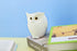 Owl Resin Pen Holder and Makeup Brush Holder, Desk Organizer for Office, School, and Home, White