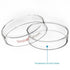 stonylab Glass Petri Dish, 90x20 mm Autoclavable Borosilicate Glass Cell Culture Dish with Clear Lid