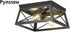 2 1 Pack, Pynsseu Industrial Ceiling Light, Lights Farmhouse Semi Flush Mount Ceiling Fixture for Kitchen Island Dining