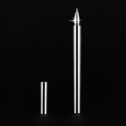 Ballpoint Stainless Steel Silver Pen, Fine Point, Black Ink, One Pack for Professional Use