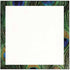 Set of 3 Peacock Print Border Sticky Notes, Wildlife Bird Theme, Paper Memo Pad for Office and School