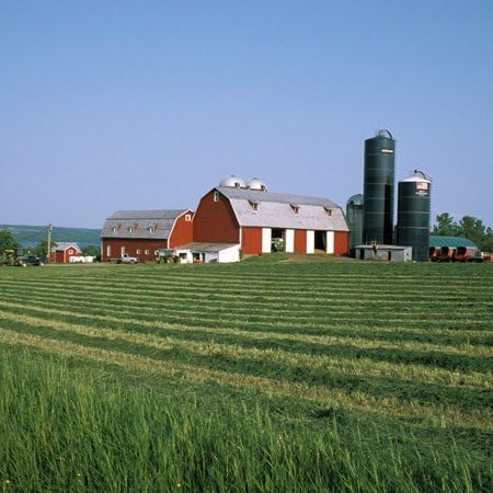 3dRose US33 MGI0074 6 Inch New York, Finger Lakes, Dairy Farm, Cayuga Lake - - Mark Gibson Ceramic Tile