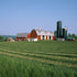 3dRose US33 MGI0074 6 Inch New York, Finger Lakes, Dairy Farm, Cayuga Lake - - Mark Gibson Ceramic Tile