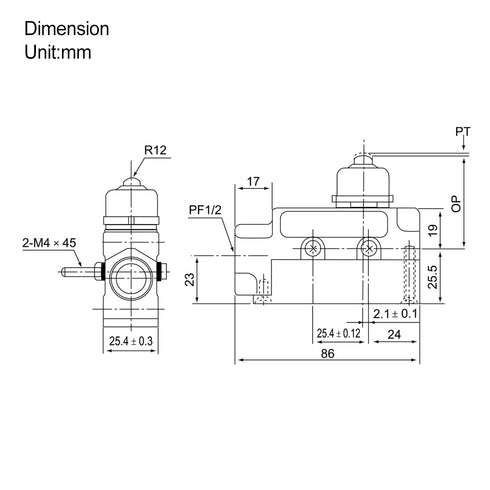 Baomain TZ-6101 Plunger Limit Switch (BM-6101) 15A/250VAC for Push & Pull/Roll-up Door