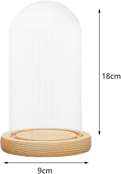 XLWLLNJ Dome Cloche Bell Jar Wooden Base Multifunctional Showcase Display Case Dessert Cover for Dining Tables