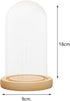 XLWLLNJ Dome Cloche Bell Jar Wooden Base Multifunctional Showcase Display Case Dessert Cover for Dining Tables