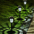 8 Pack(Cold SOLPEX Solar Lights for Outside, Solar Outdoor Pathway Garden Lights Waterproof, Solar Powered Landscape