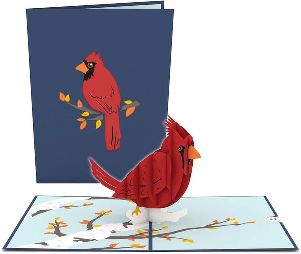 Lovepop Everyday Pop-Up Card, 3D Thinking of You Greeting Card for Her and Him - 5" x 7" Blank Note Card