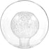 TEHAUX Globe Lamp Shade 3.93 Inch Frosted Glass Ceiling Light Shade Replacement