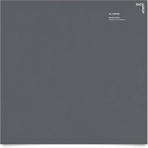 BACKDROP Premium Interior Paint Large Adhesive Paint Swatch NO CURFEW - Dark Gray With Cool Undertones 12" x 12"