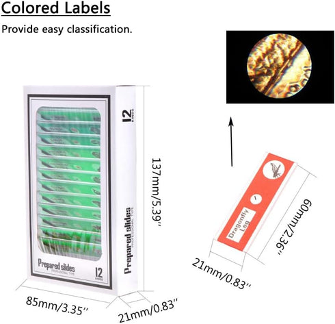 Prepared Plastic Microscope Slides with Specimens for Kids, 60PCS Animal/Plant/Insect/Blood Biology Slides