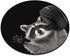 Non-Slip Round Mousepad, WIRESTER Racoon Hands Out Mouse Pad for Home, Office, and Gaming Desk