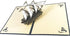 Set of 2 Sailing Boat Pop Up Greeting Cards - Congratulation for Special Day, Valentine's Day, Birthday or Wedding with