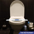 16-1/2" 1-1/2" 2000) ESSENTIAL- Printed Toilet Seat Band Wide X Deepuse In Hospitals, Hotels And Motels (Case