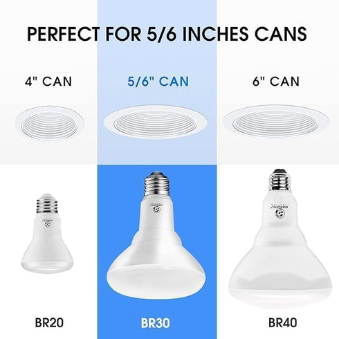 Energetic 2 Pack 75W BR30 LED Recessed Light Bulb, Dimmable, 900 Lumens, Daylight 5000K, E26 Base